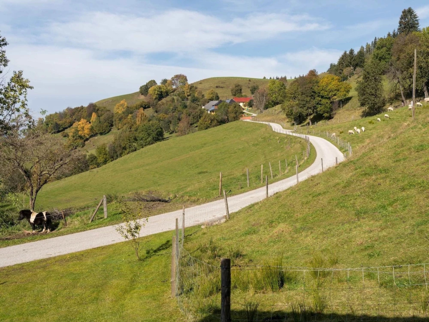 Alpine Hut in Eberstein Near Ski Area