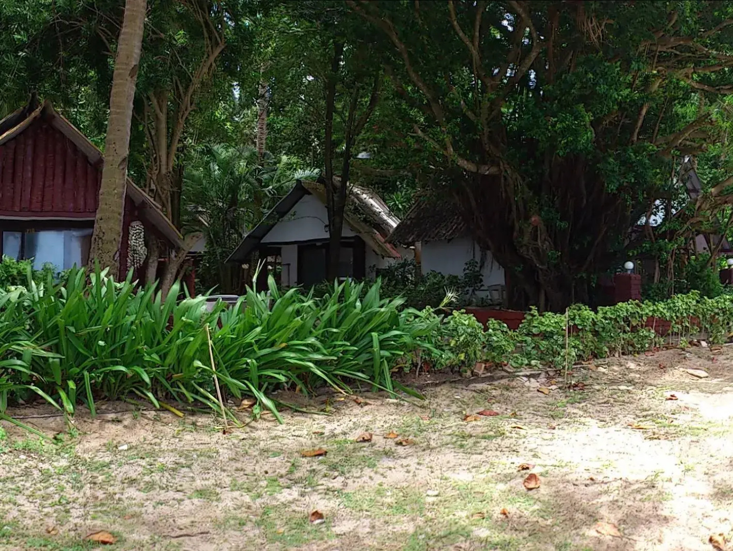 Pine Bungalow