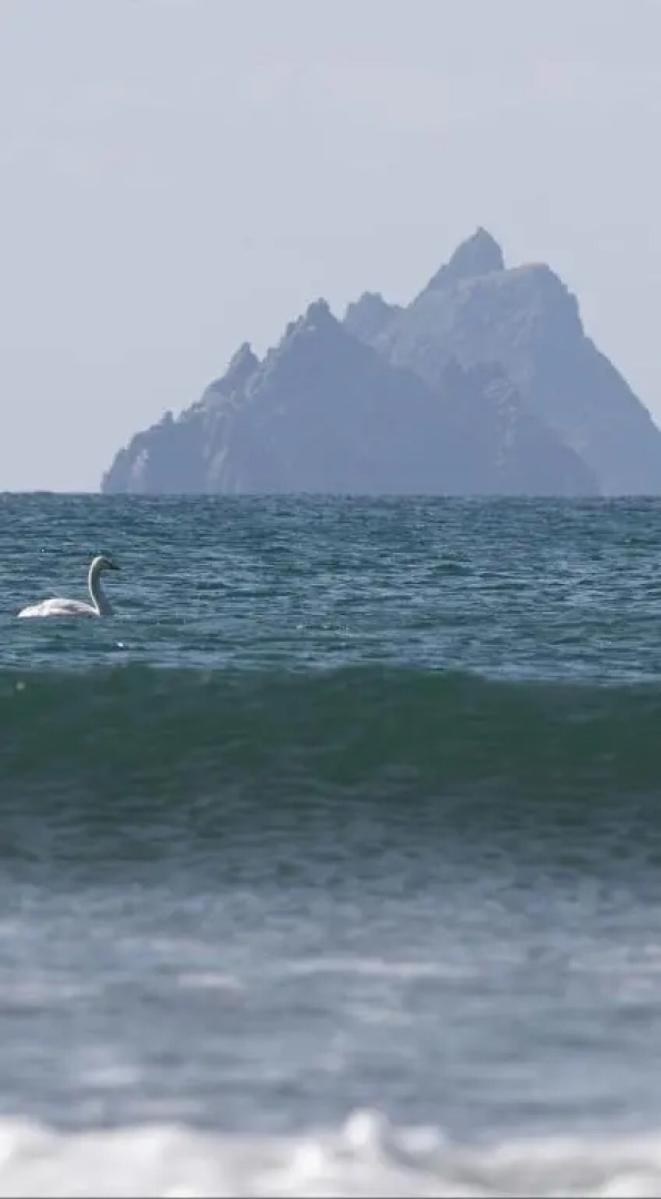 Skellig Port Accomodation - 2 Bed Apartment