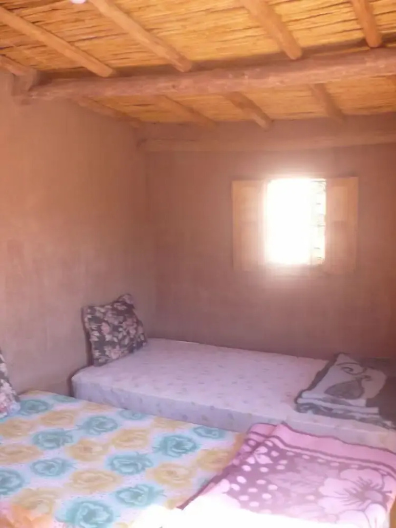 Camping Les Palmeraies