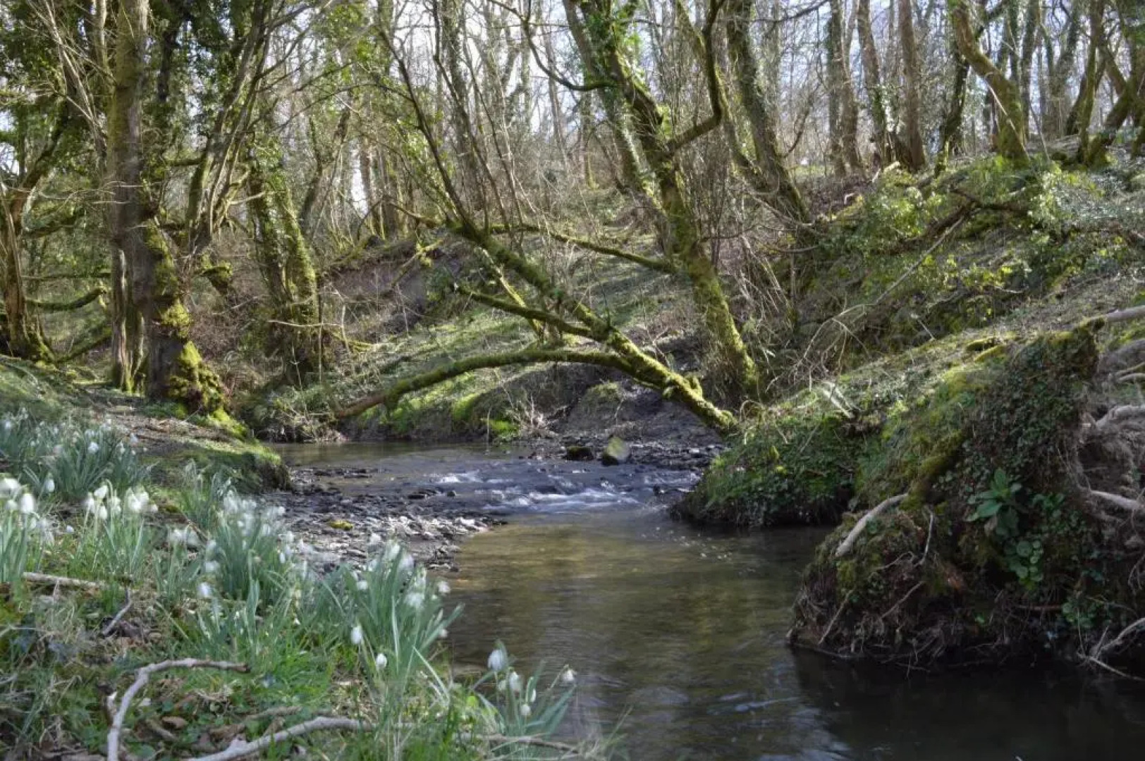 Troedyrhiw Bed & Breakfast