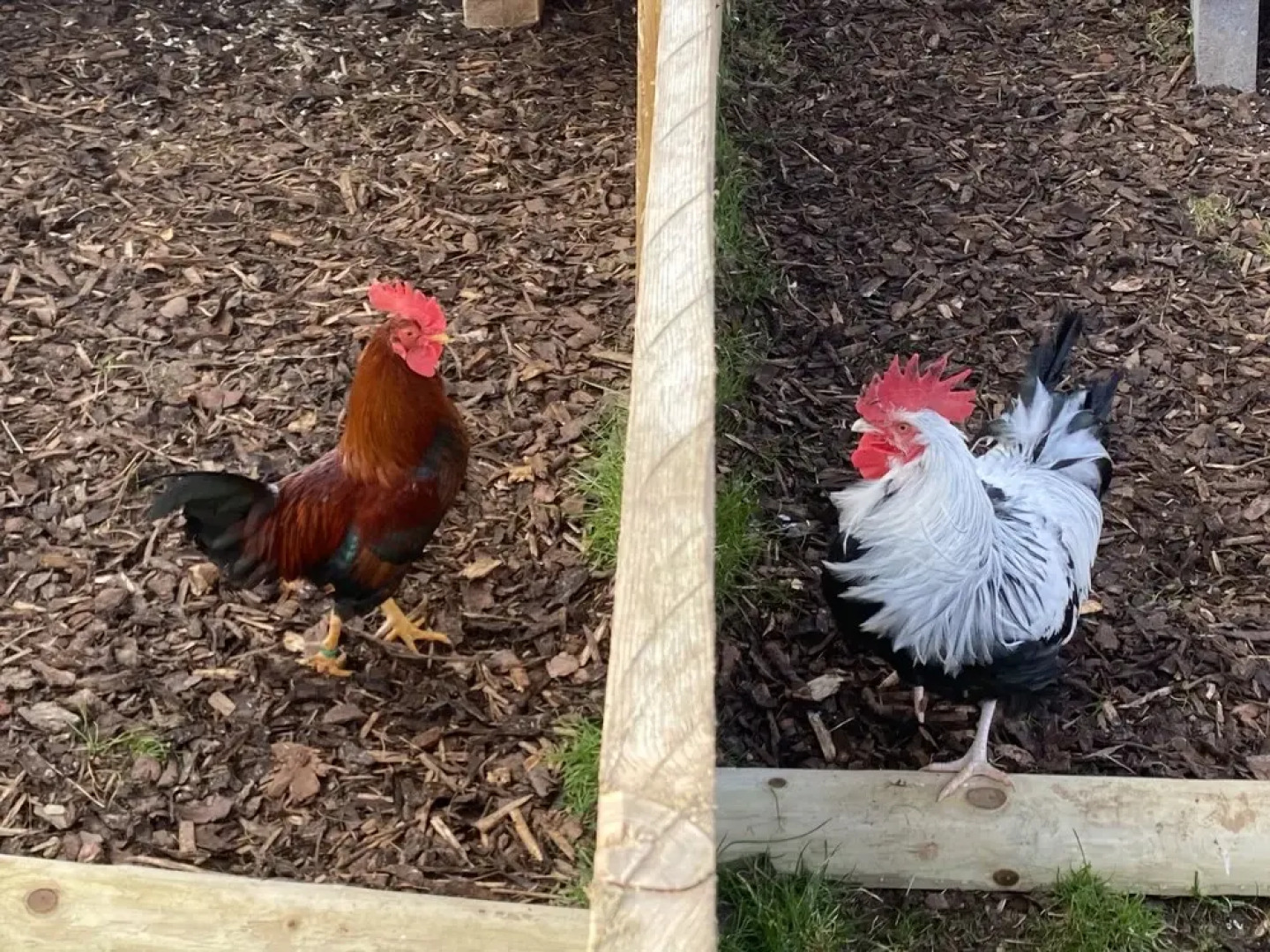 Cosy Annexe Sleeps 4