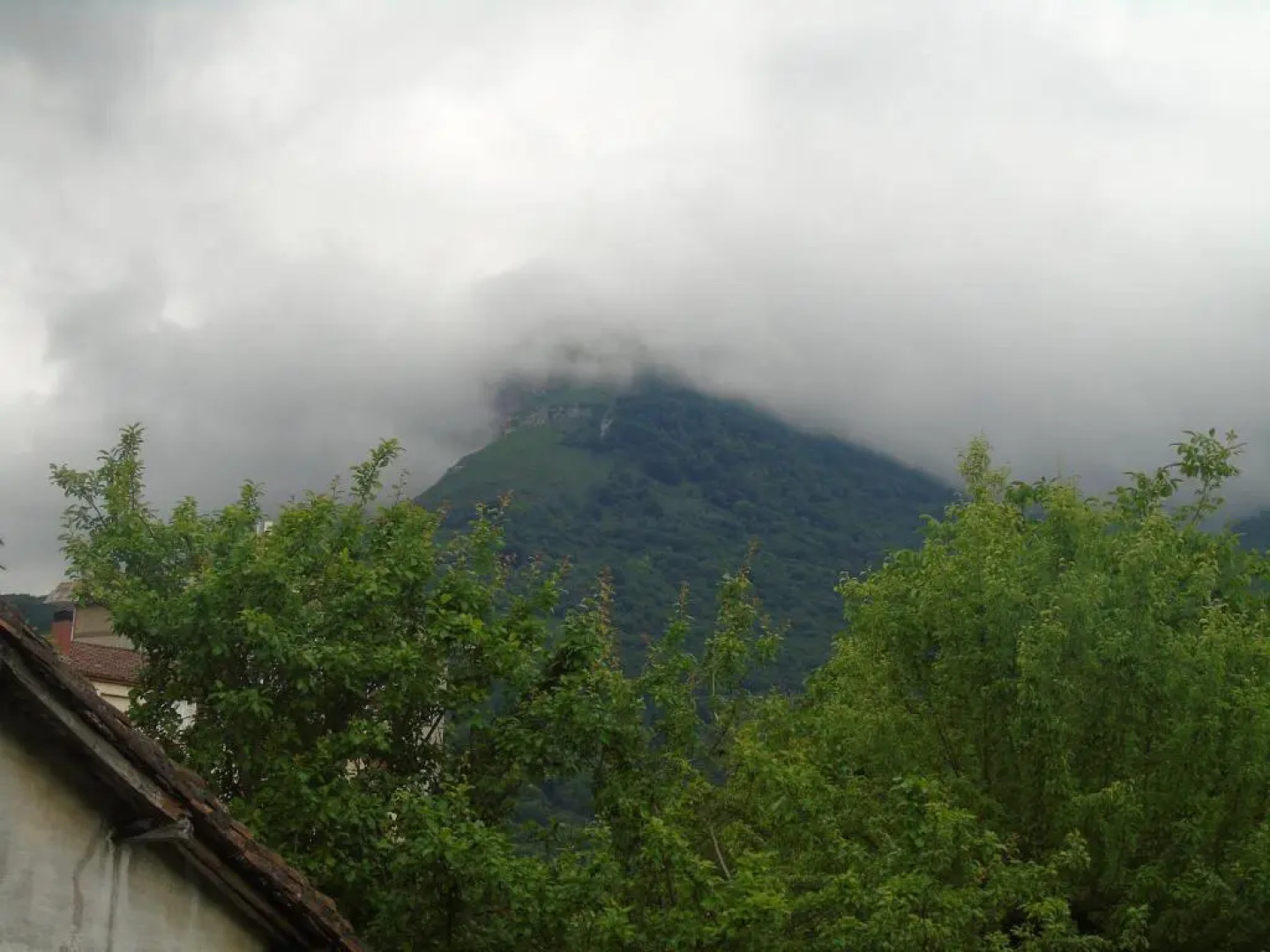 Zikoinaren Txokoa ( El Txoko de la cigüeña )