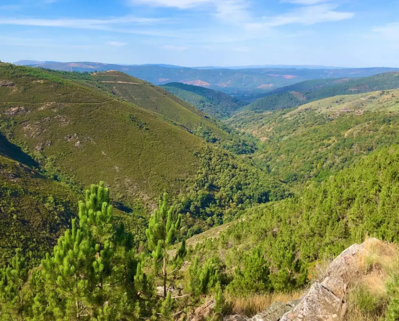 Pensión Blanco Conde