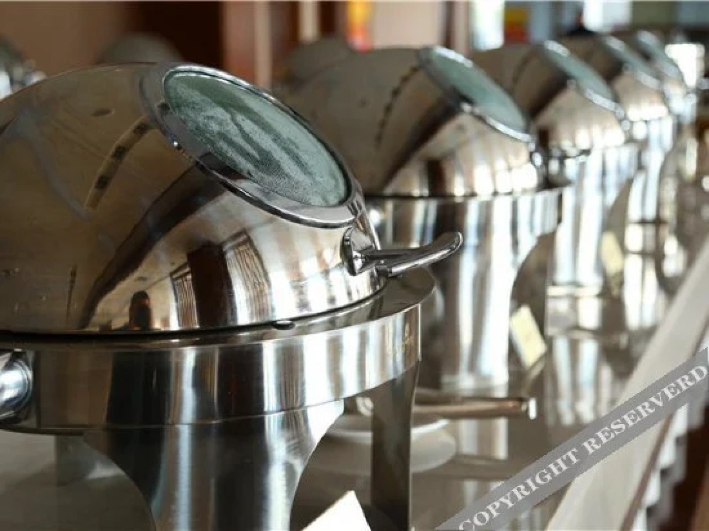 Shuishi Forest Hot Spring Resort