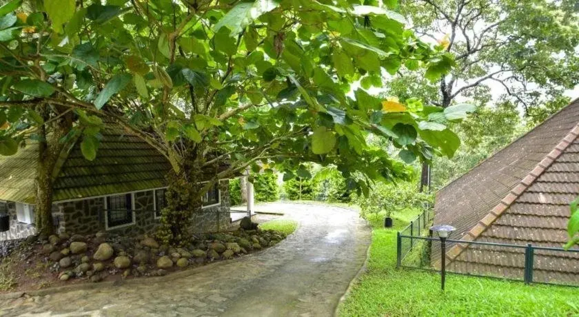 Hotel Treetop