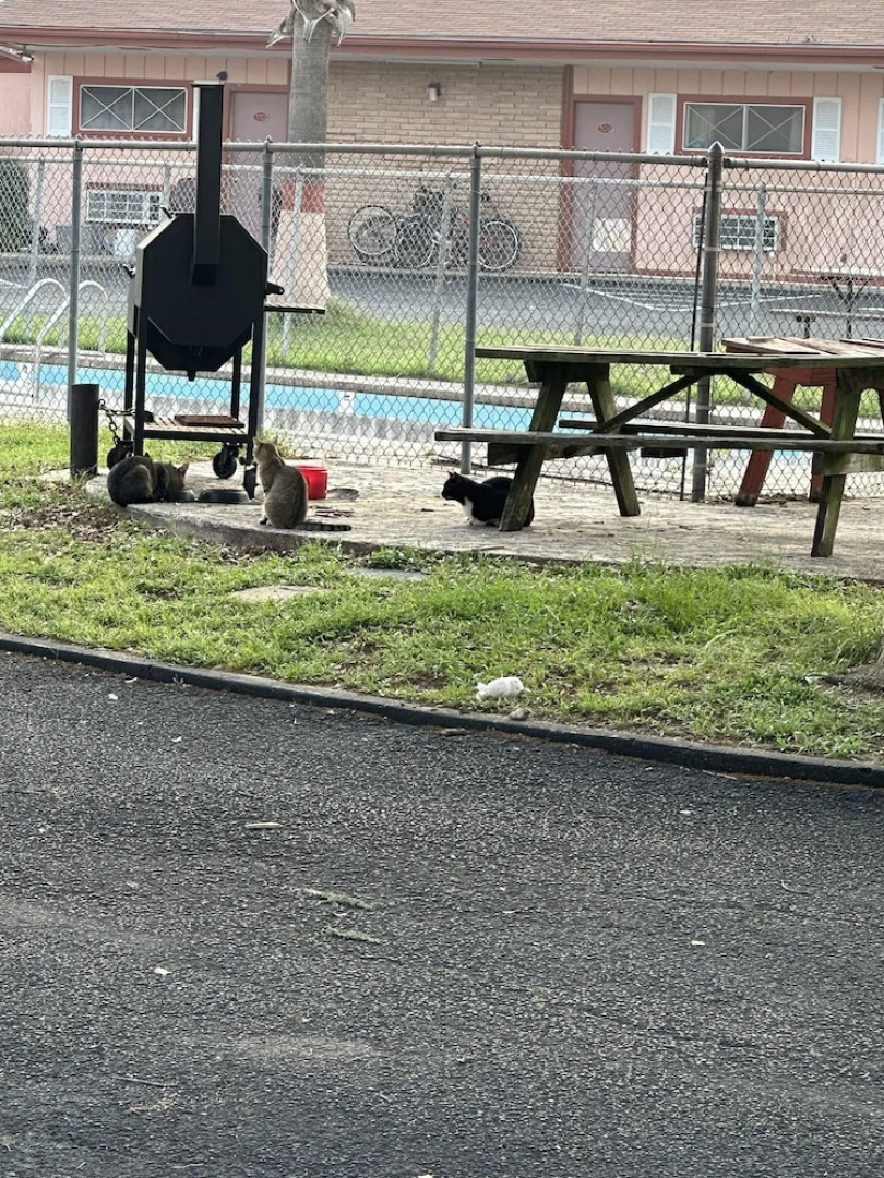 Wildflower Inn & RV Park