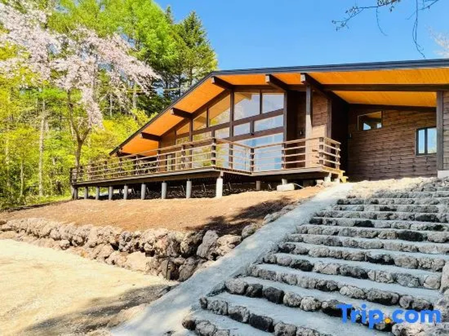 Terrace Villa Foresta Asama