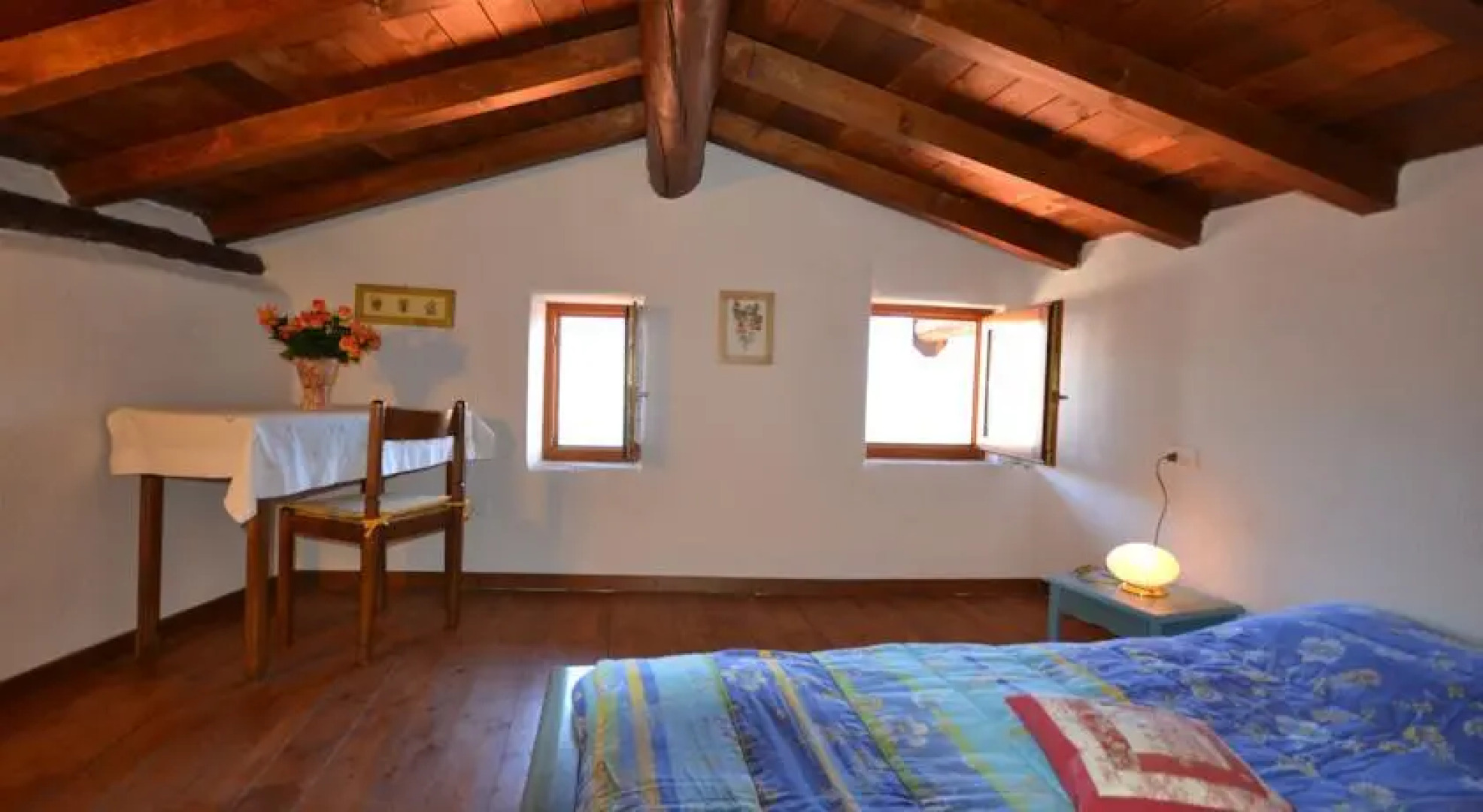 Bucaneve Narciso EHL