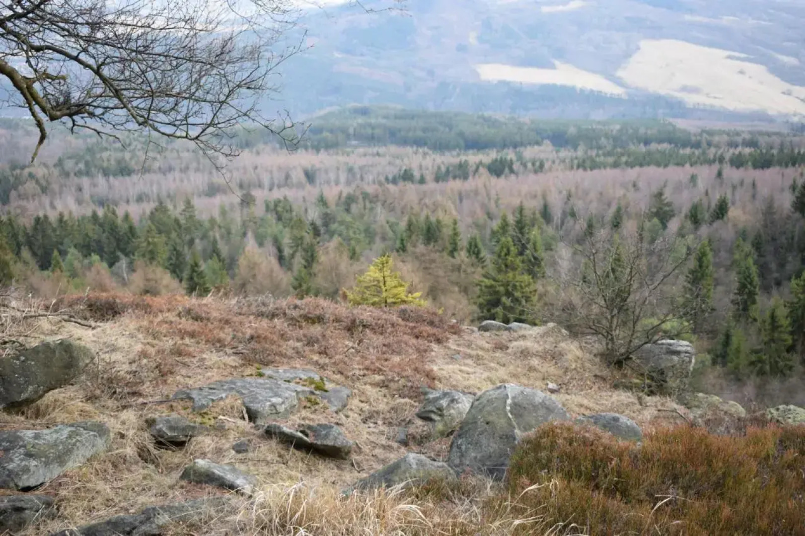 Guest House Pod Rozhlednou