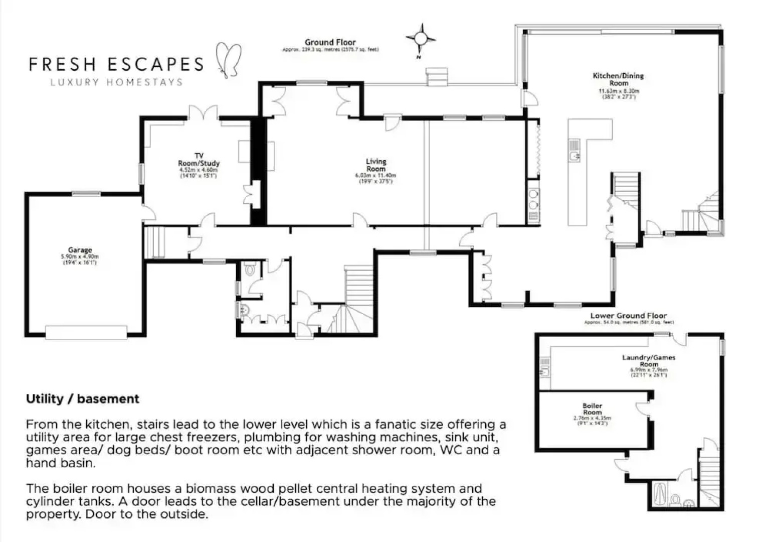 Little Redlap in Dartmouth