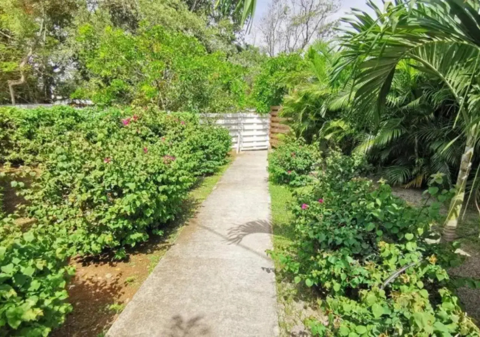 Villa Cocotier à 50 mètres de la plage