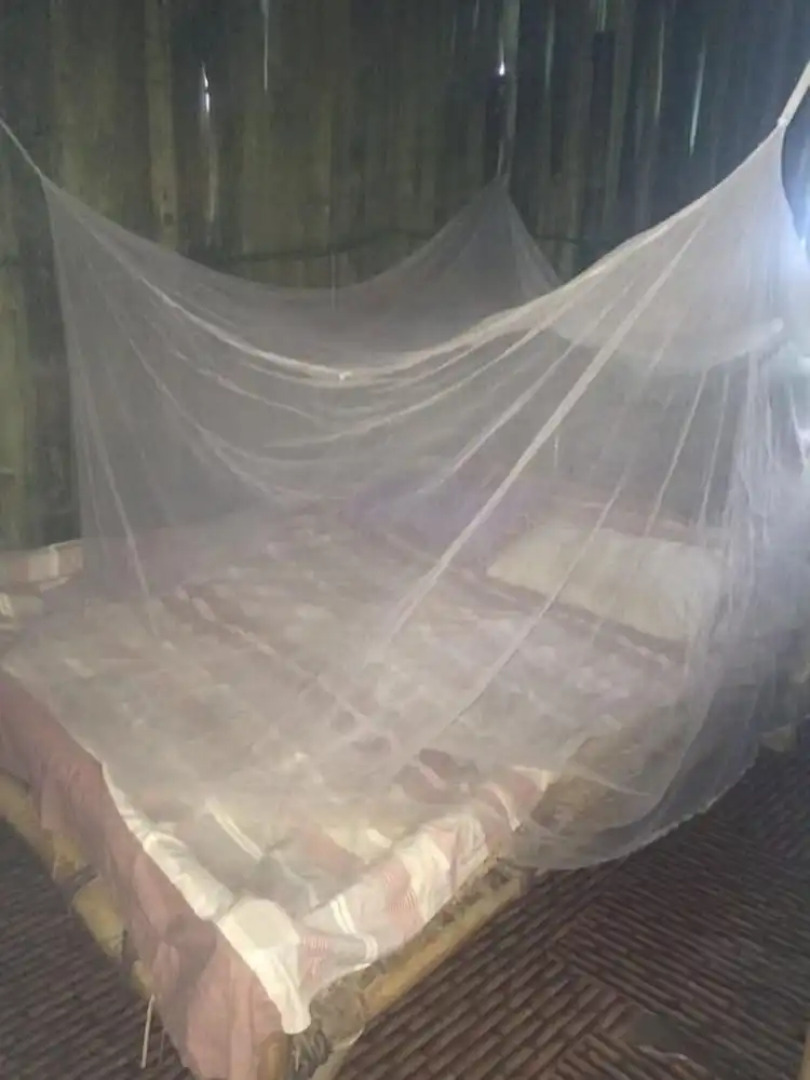 Natural Bamboo Village