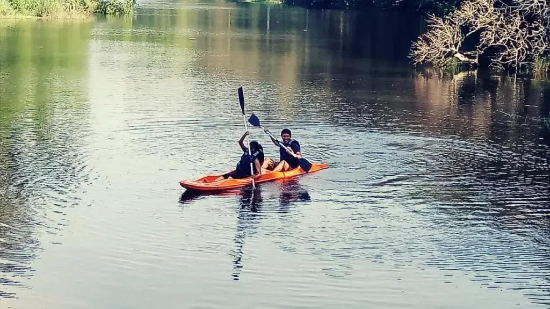 Noah's Nest Tree House
