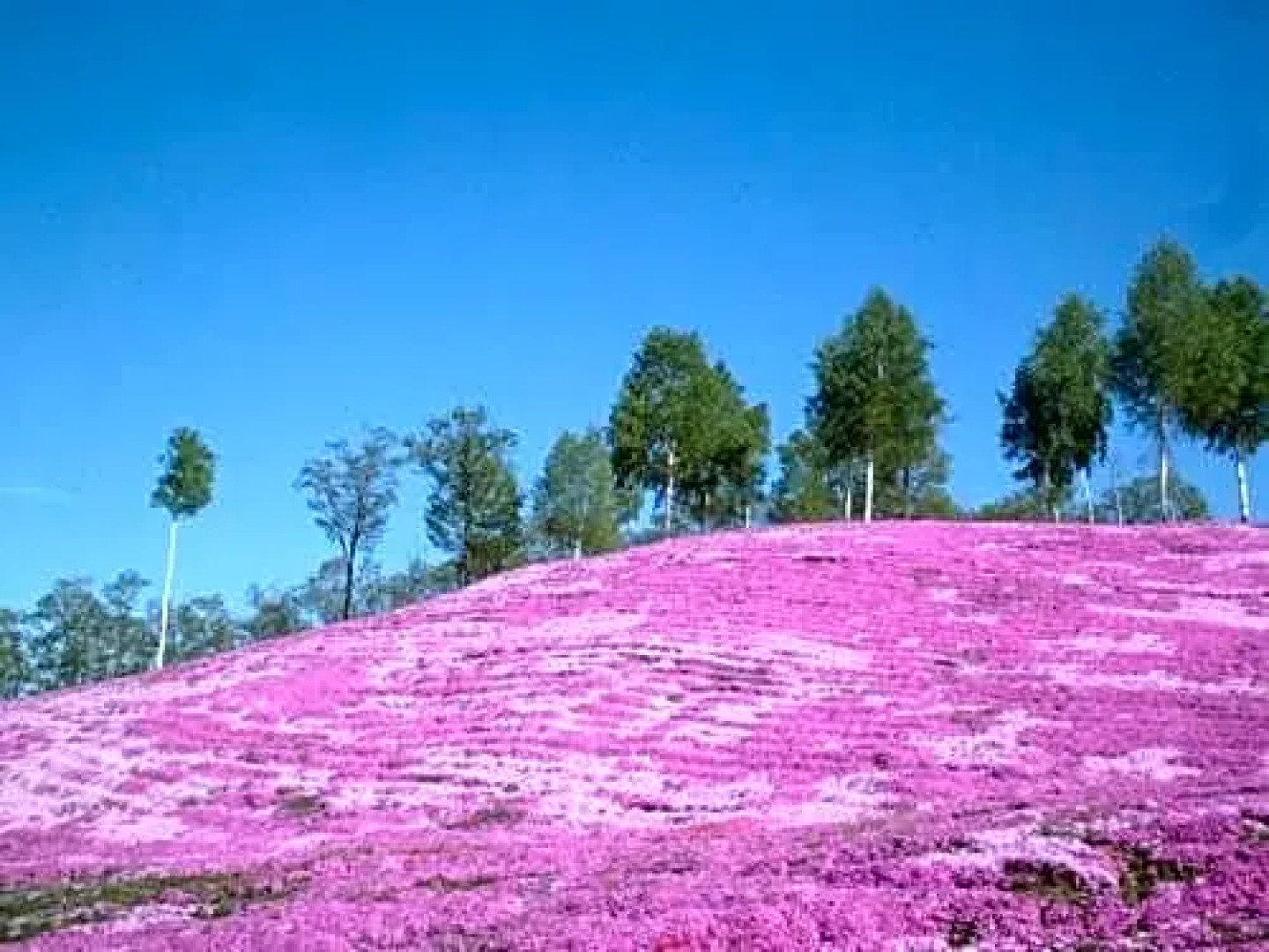 Takinoue Hotel Keikoku - Vacation STAY 32406v