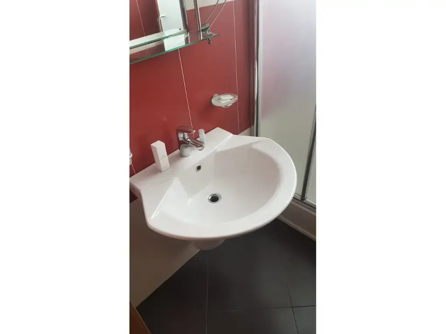 Hotel Paun