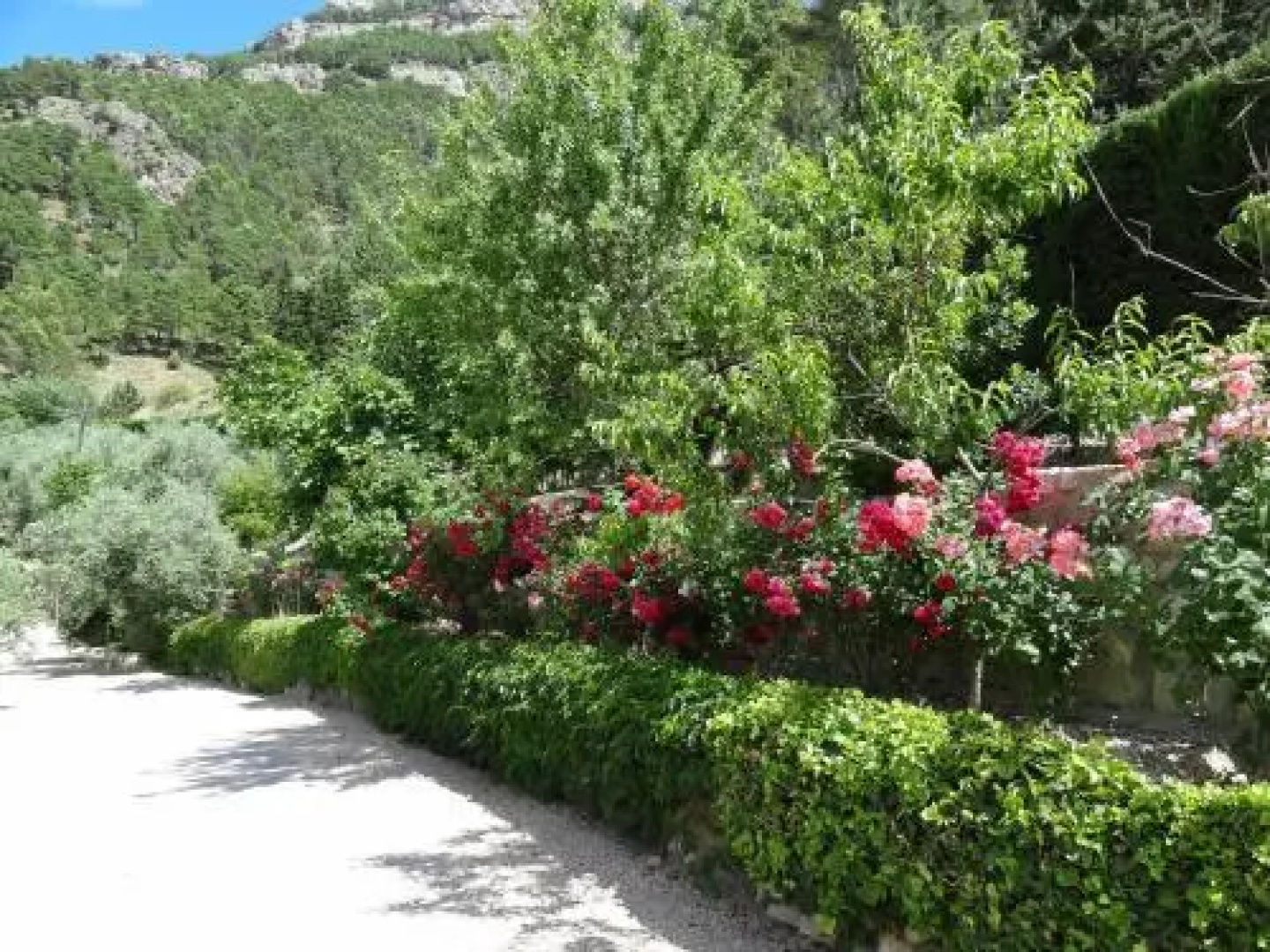Apartamentos Arroyo Parrilla