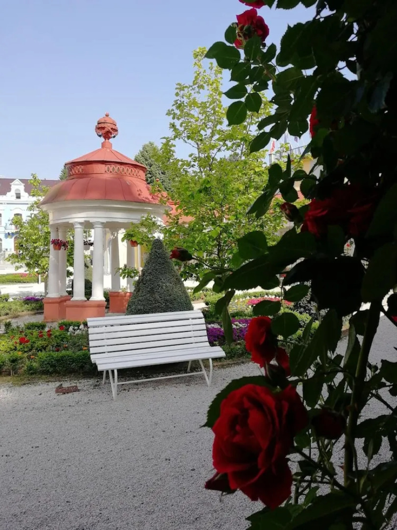 Spa Resort Libverda - Nový Dům