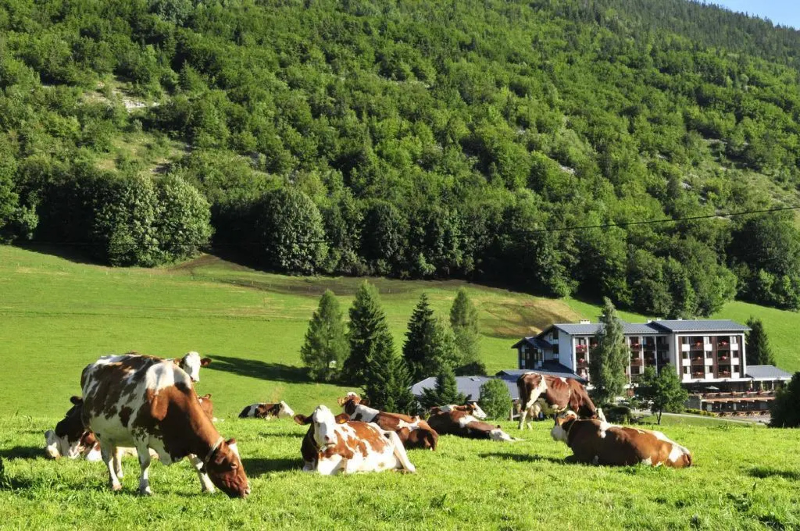 AEC Vacances - Forgeassoud