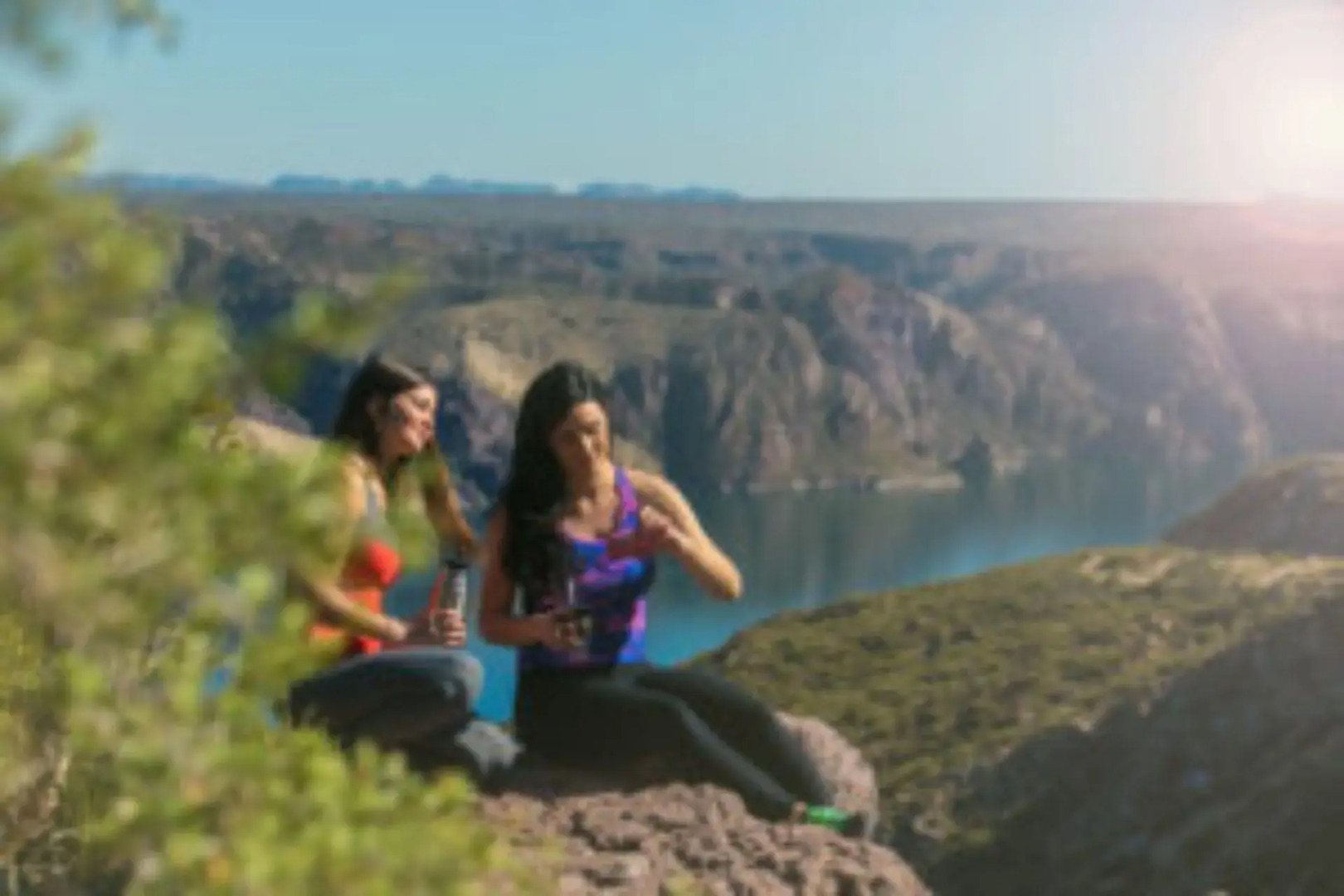 Nelumbo Petit Chalet