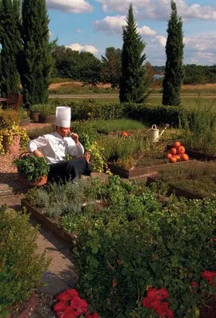 Sallingsund Færgekro