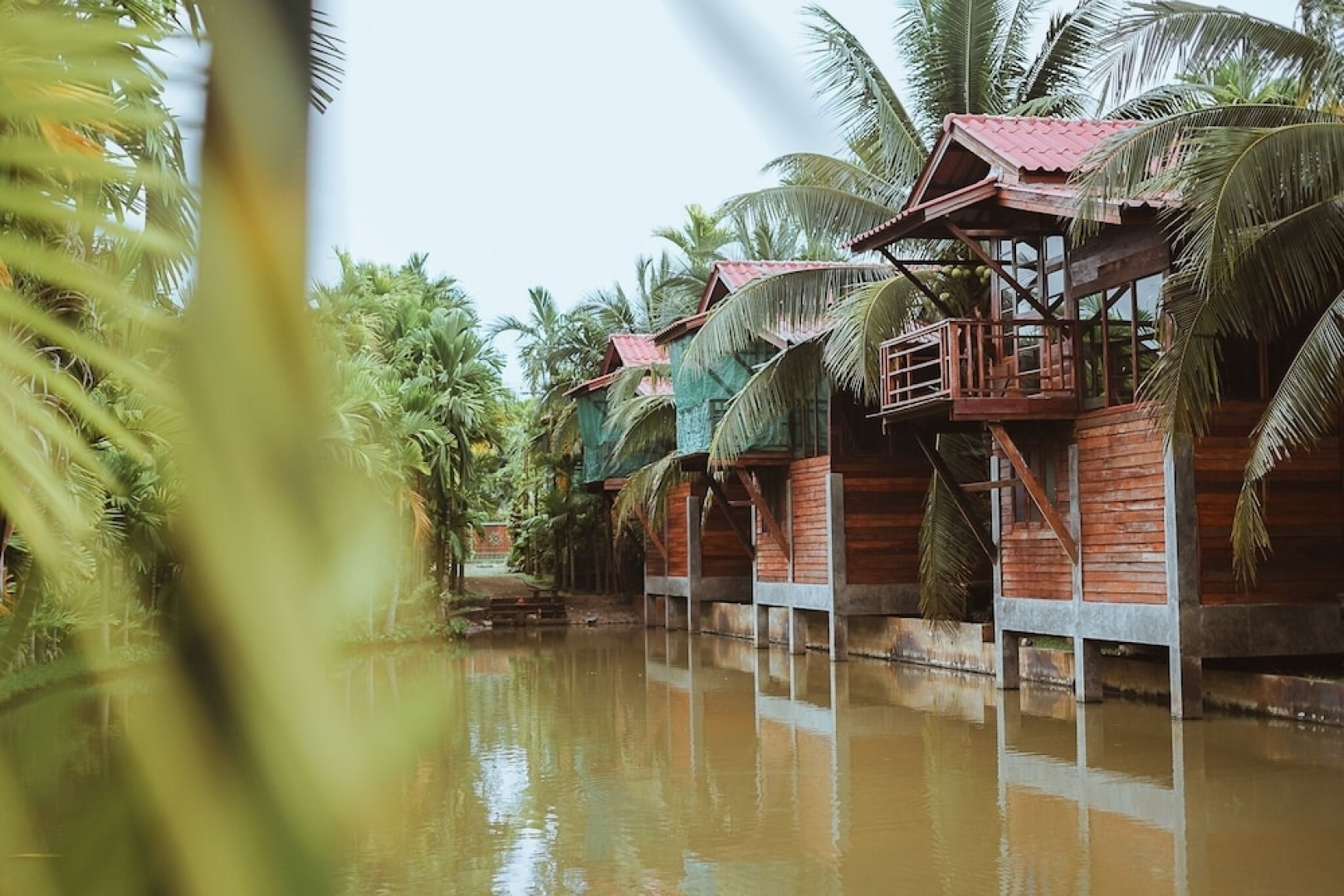 Rabeing view Doona  Chiang Mai