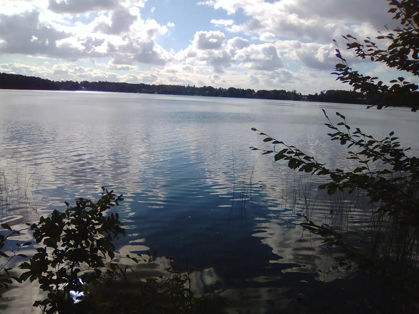 Raben Steinfeld Forststraße 3 Residenzpark