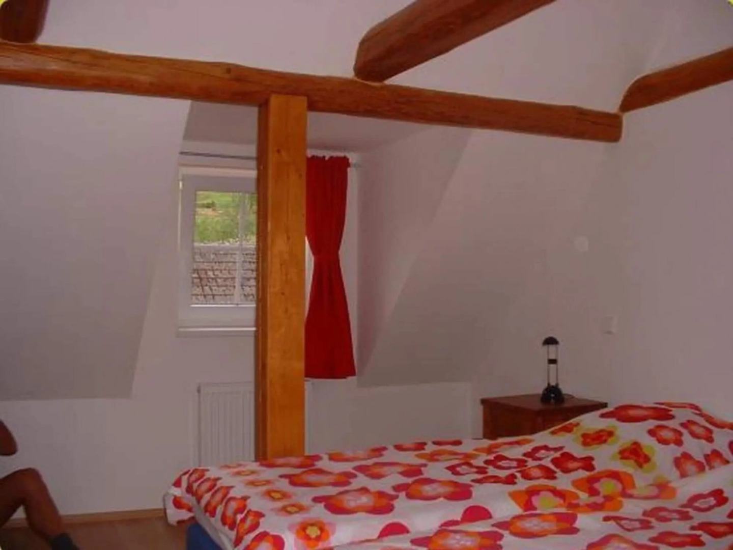 Holiday Home in Vidochov Near Ski Slopes