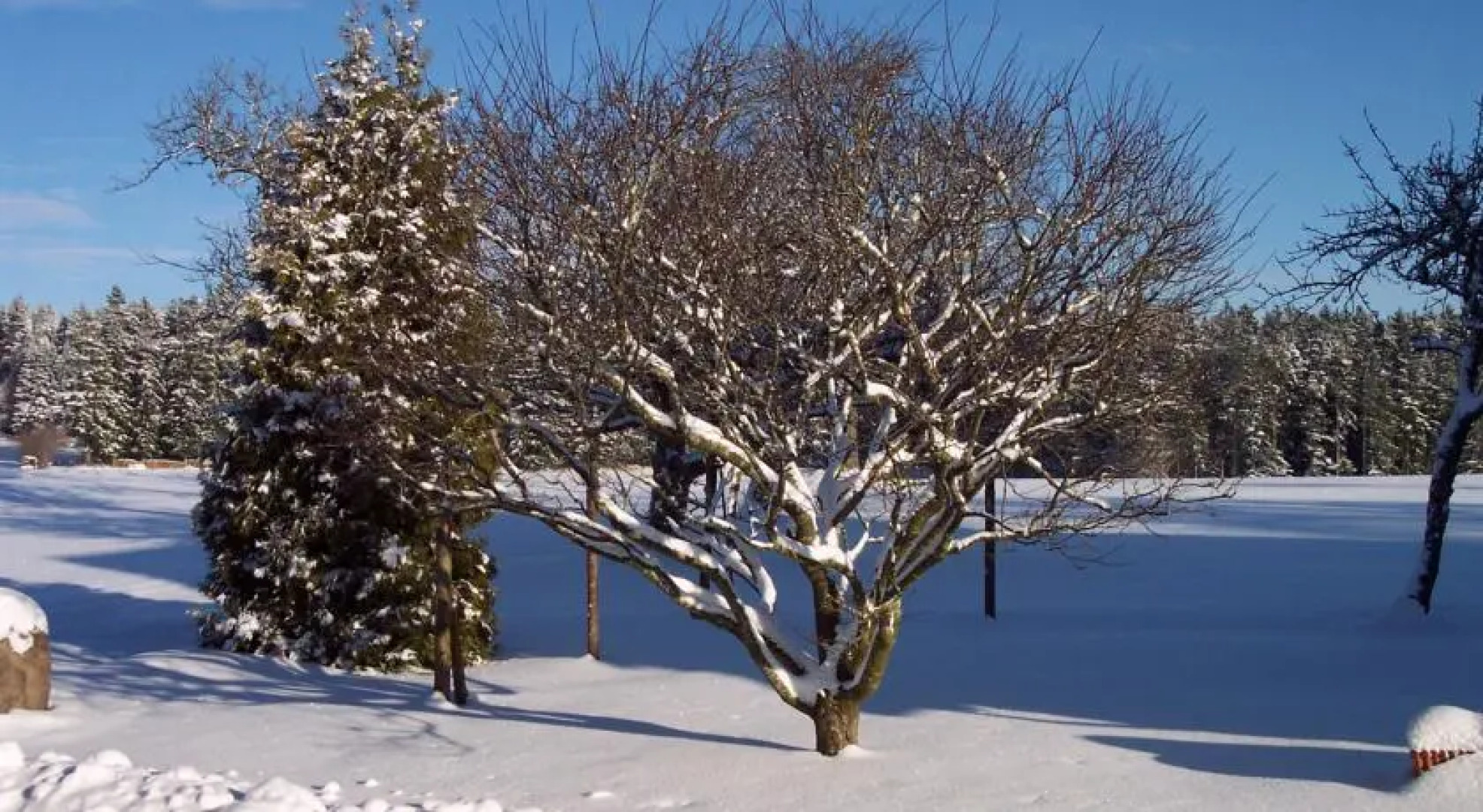 Landhaus Pension Endresenhof