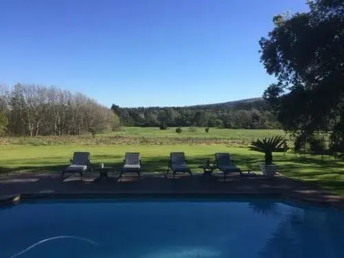 Mountain Shadows Estate