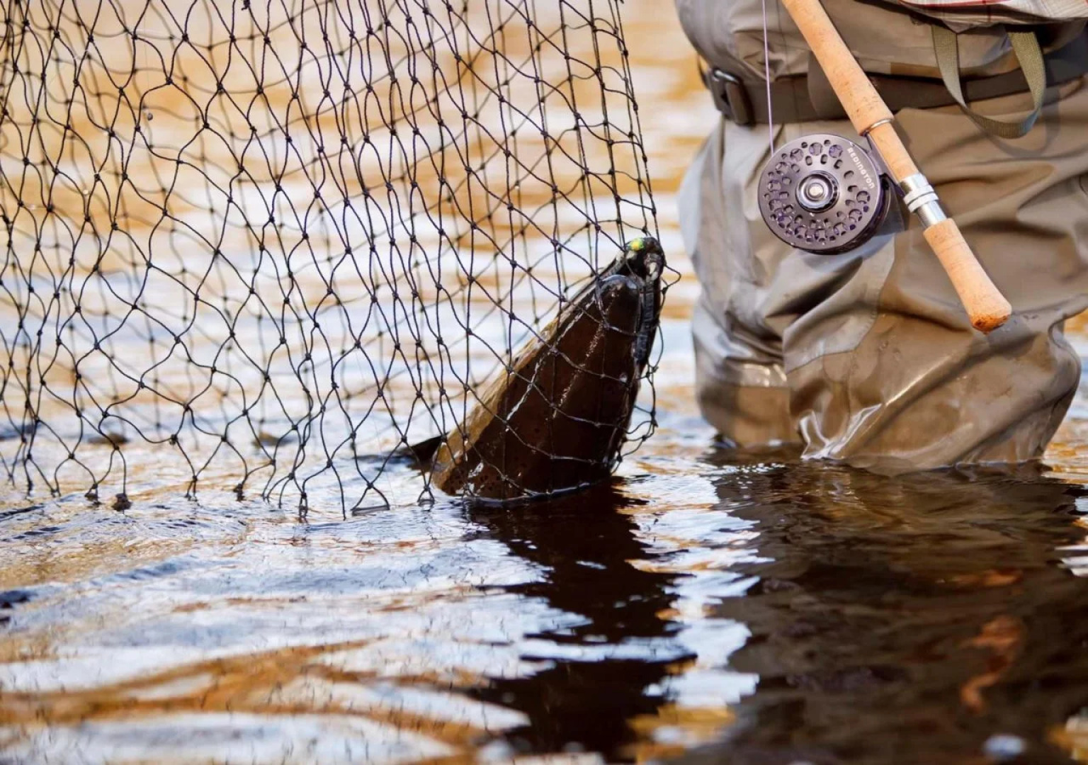 Tailwater Lodge Altmar, Tapestry Collection by Hilton