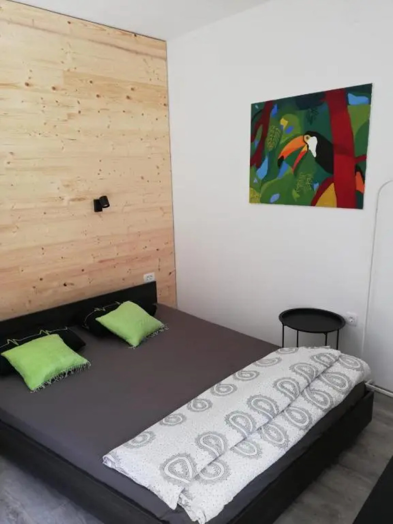 Studio apartman Fleiss