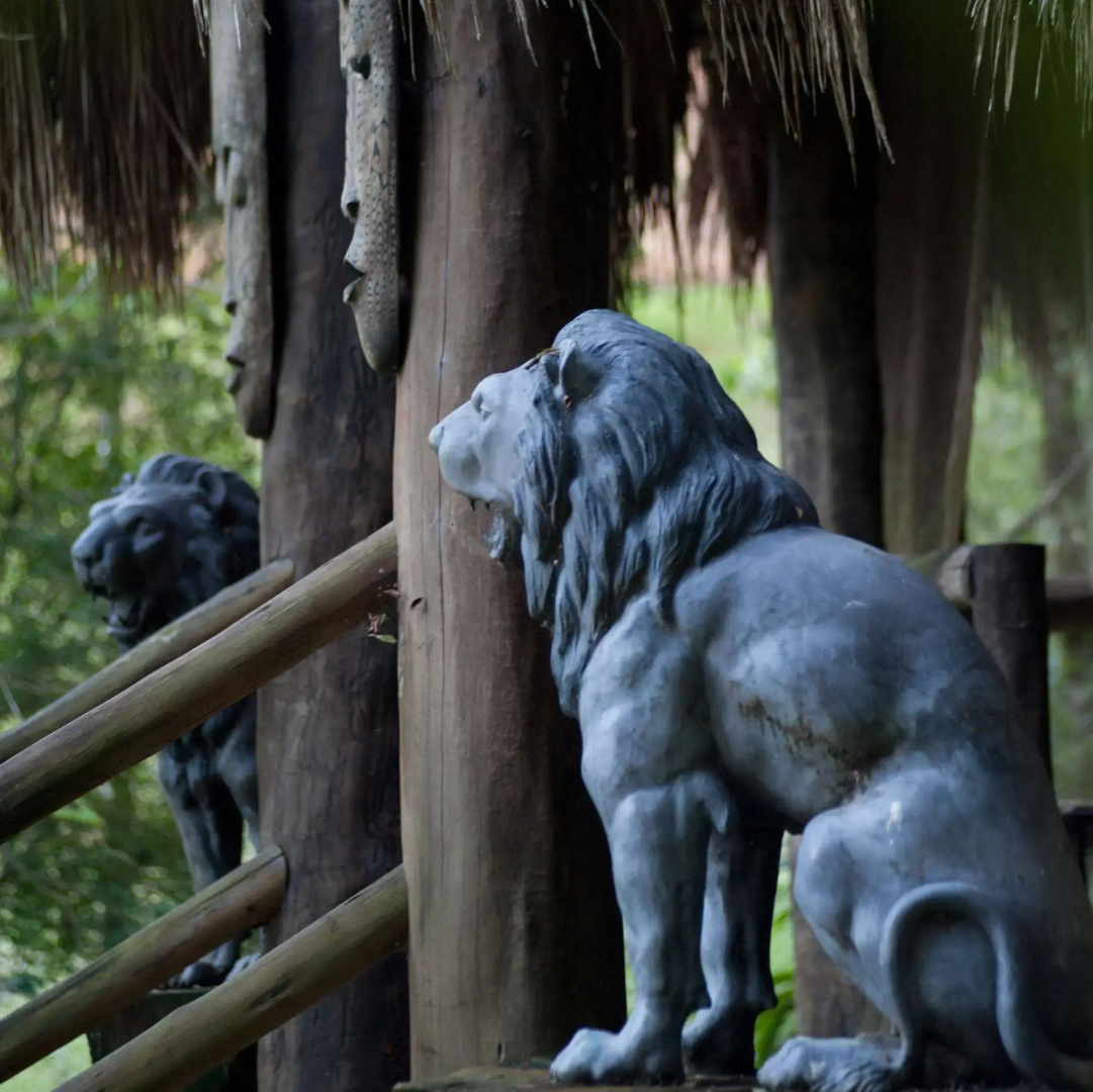 Paraiso Eco Lodge
