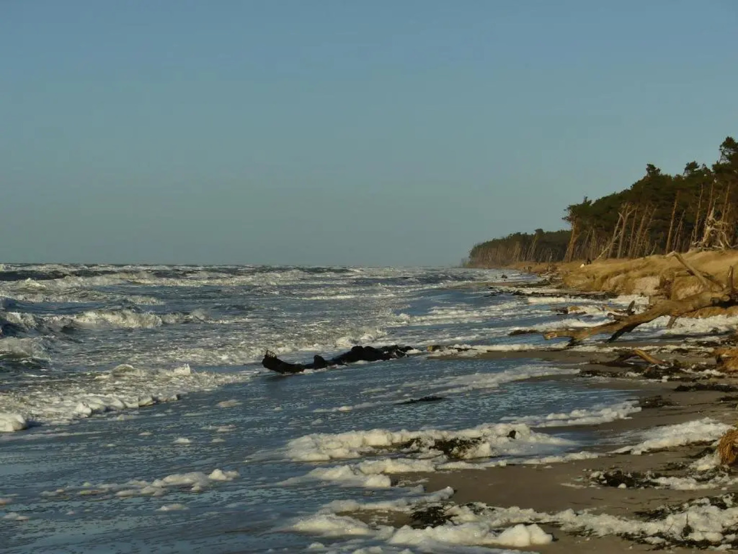 Ferienwohnungen Jagdhaus 6