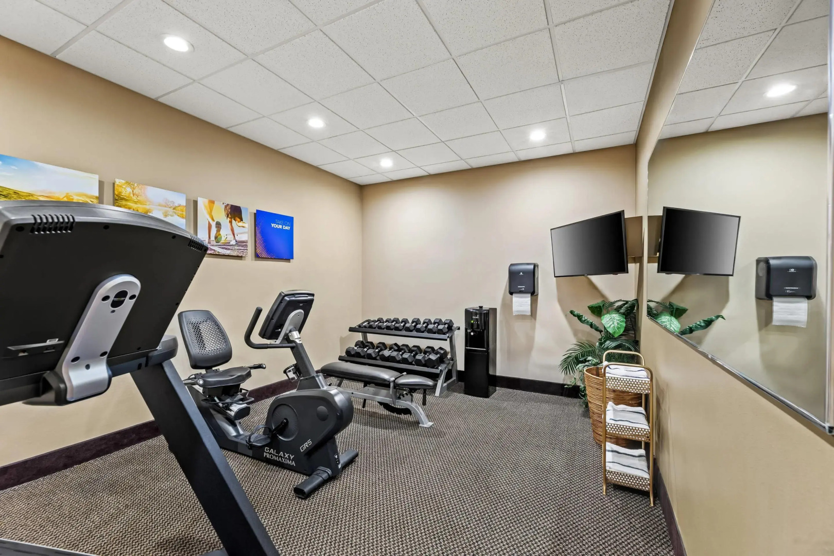Comfort Inn & Suites Tuscumbia - Muscle Shoals