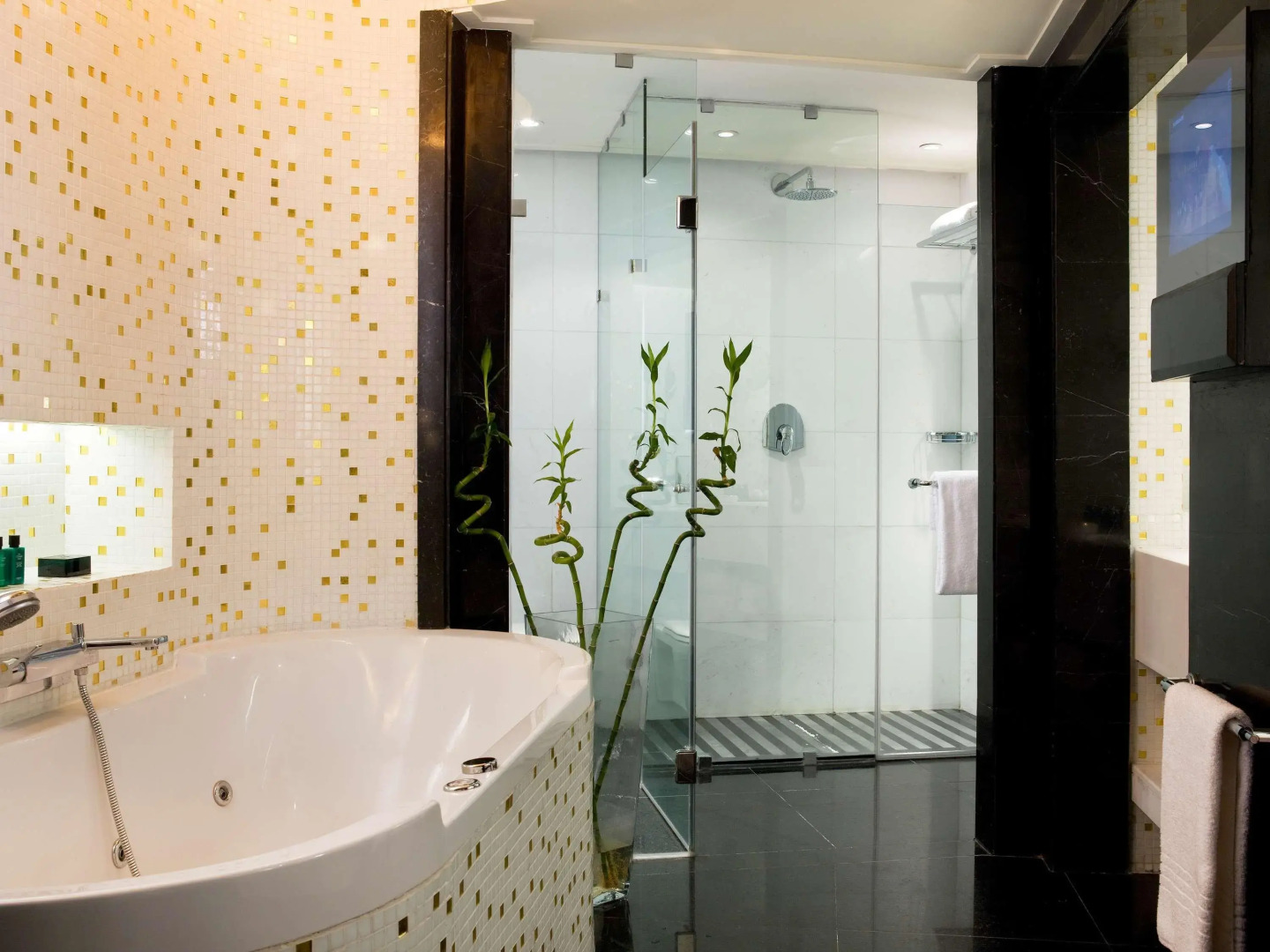 Sofitel Cairo Nile El Gezirah