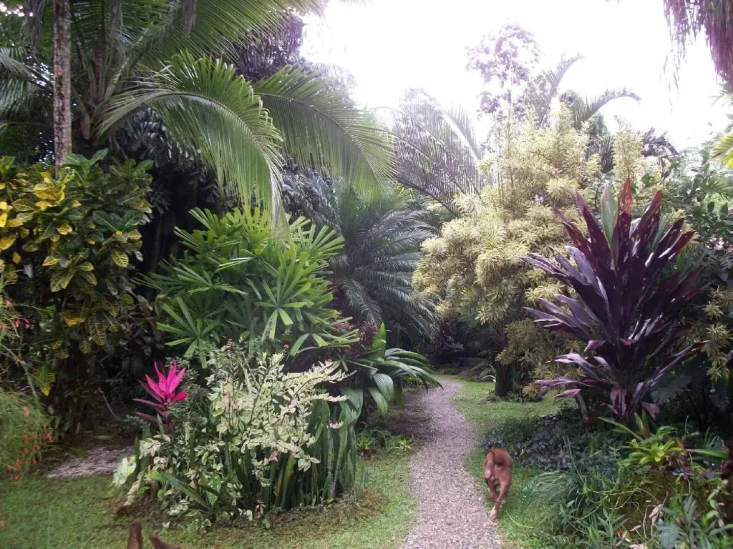 Piscina Natural on the Sea