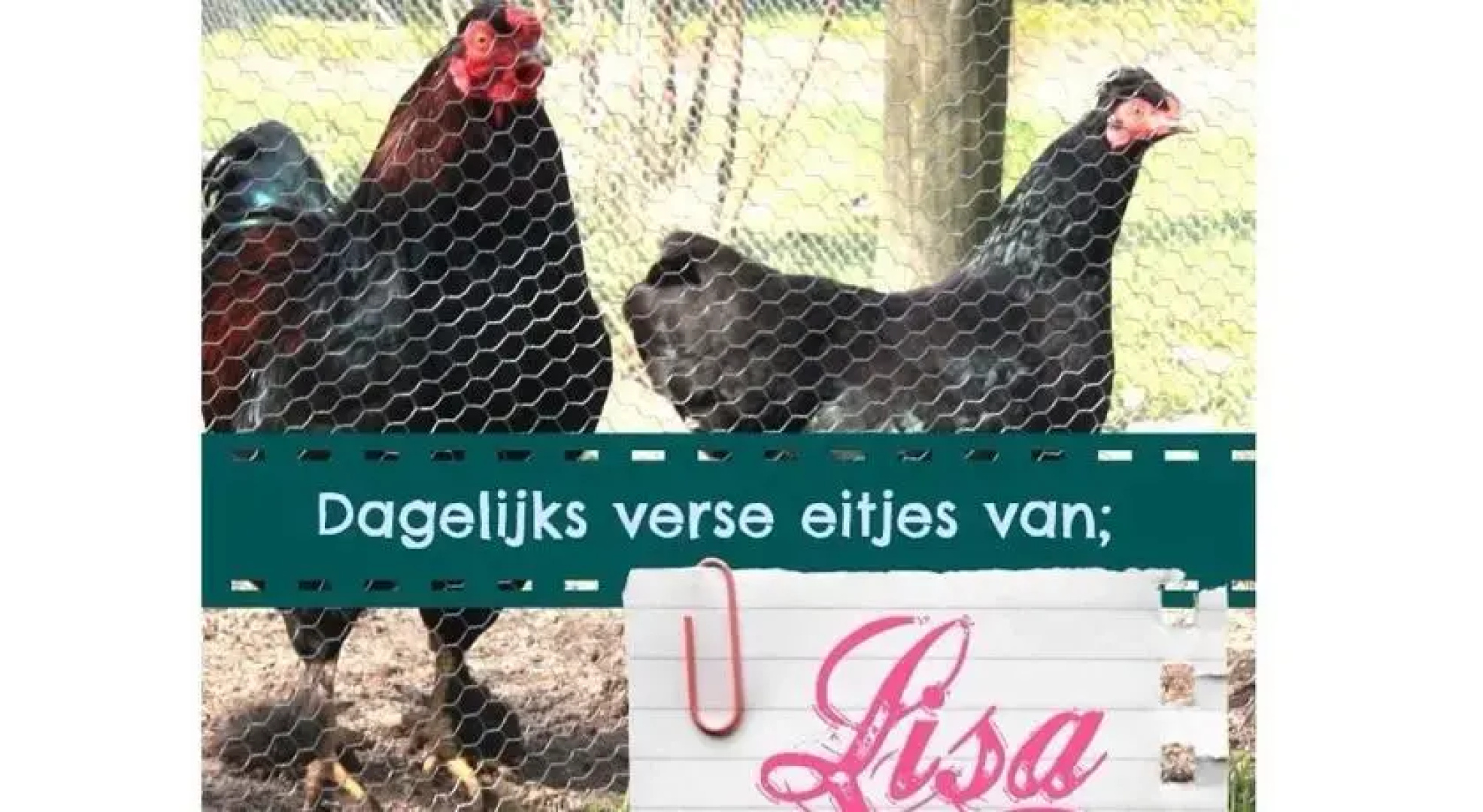 Bed and Breakfast Radijsje