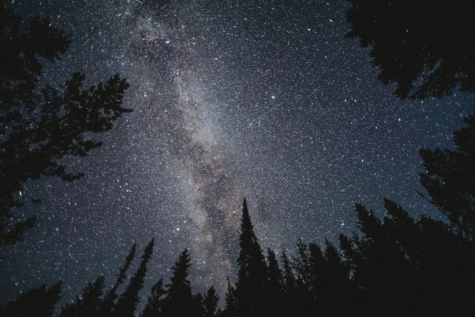 Oberhauser Hütte Passion for Nature