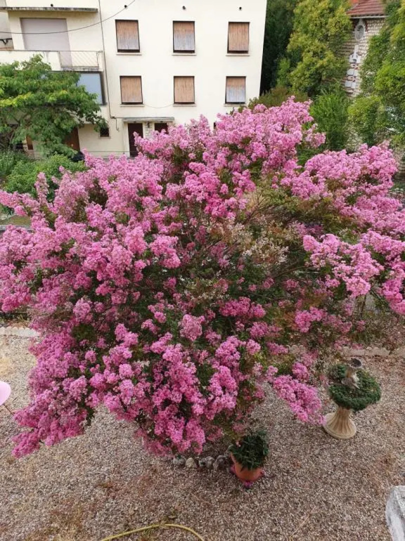 Bed & Breakfast les rosiers Fleuris