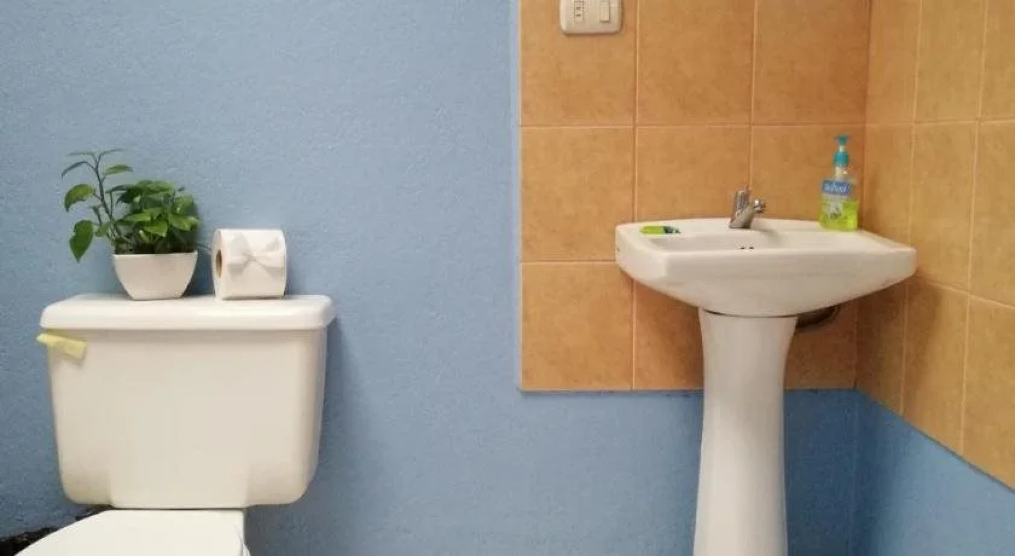 Monte Los Lirios Lodge