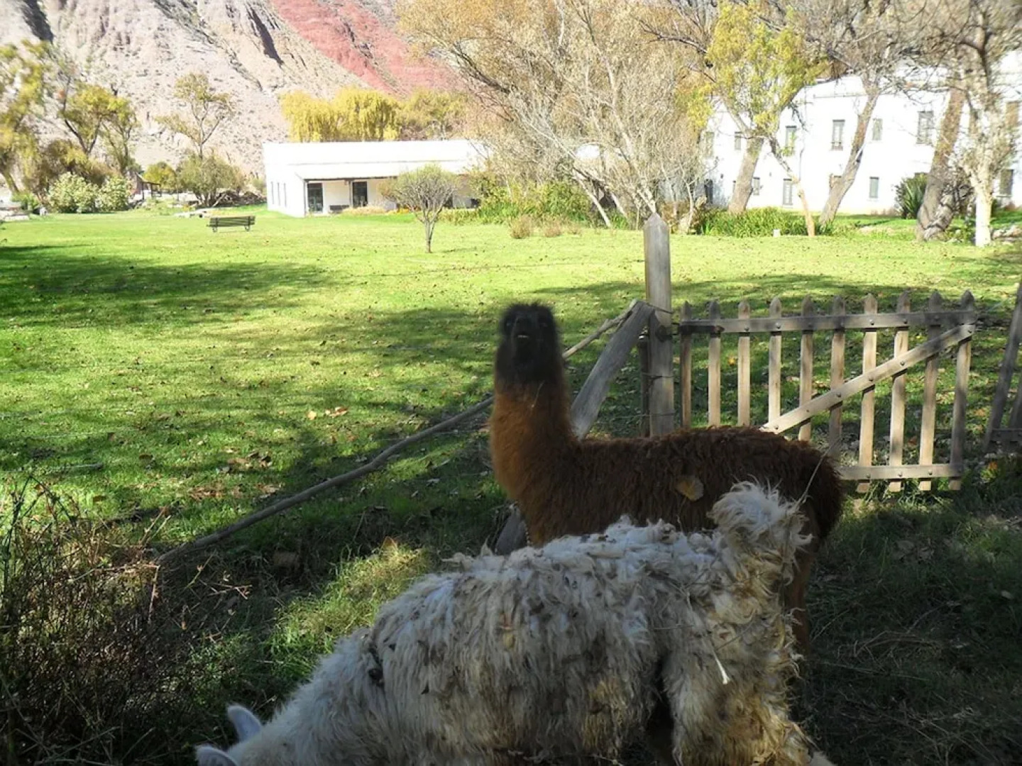 Manantial del Silencio