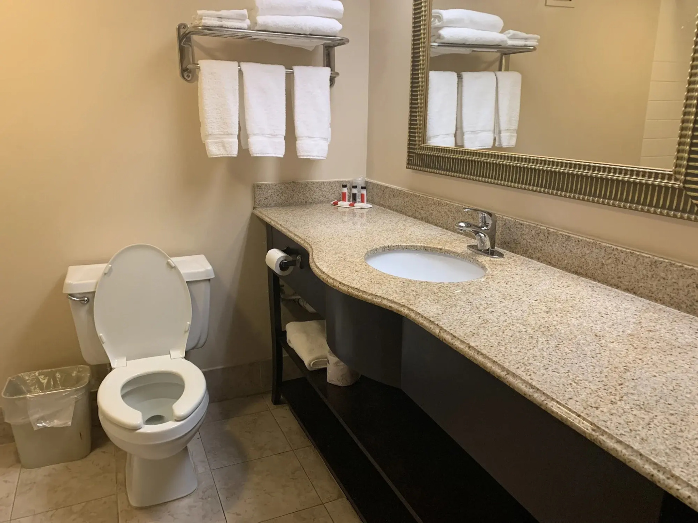 Holiday Inn Gainesville-Lanier Centre
