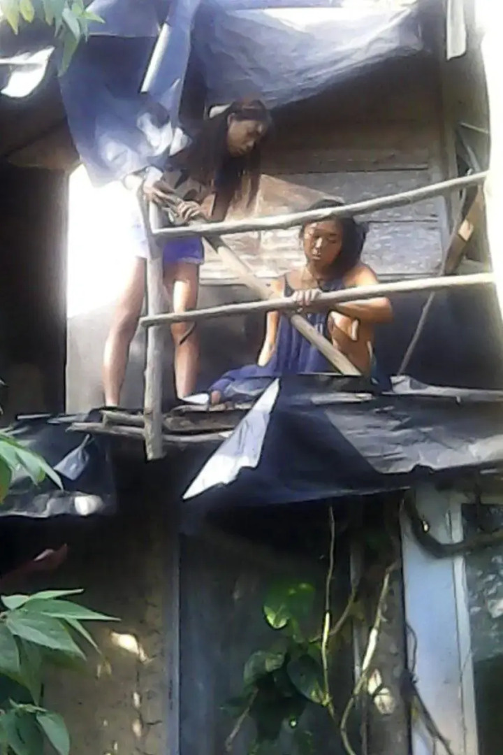 Rural Jungle Backpackers Hostel