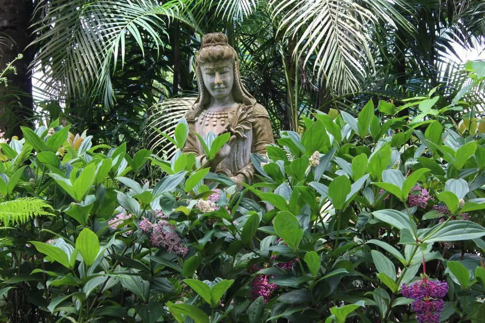 Atherton Rainforest Motor Inn