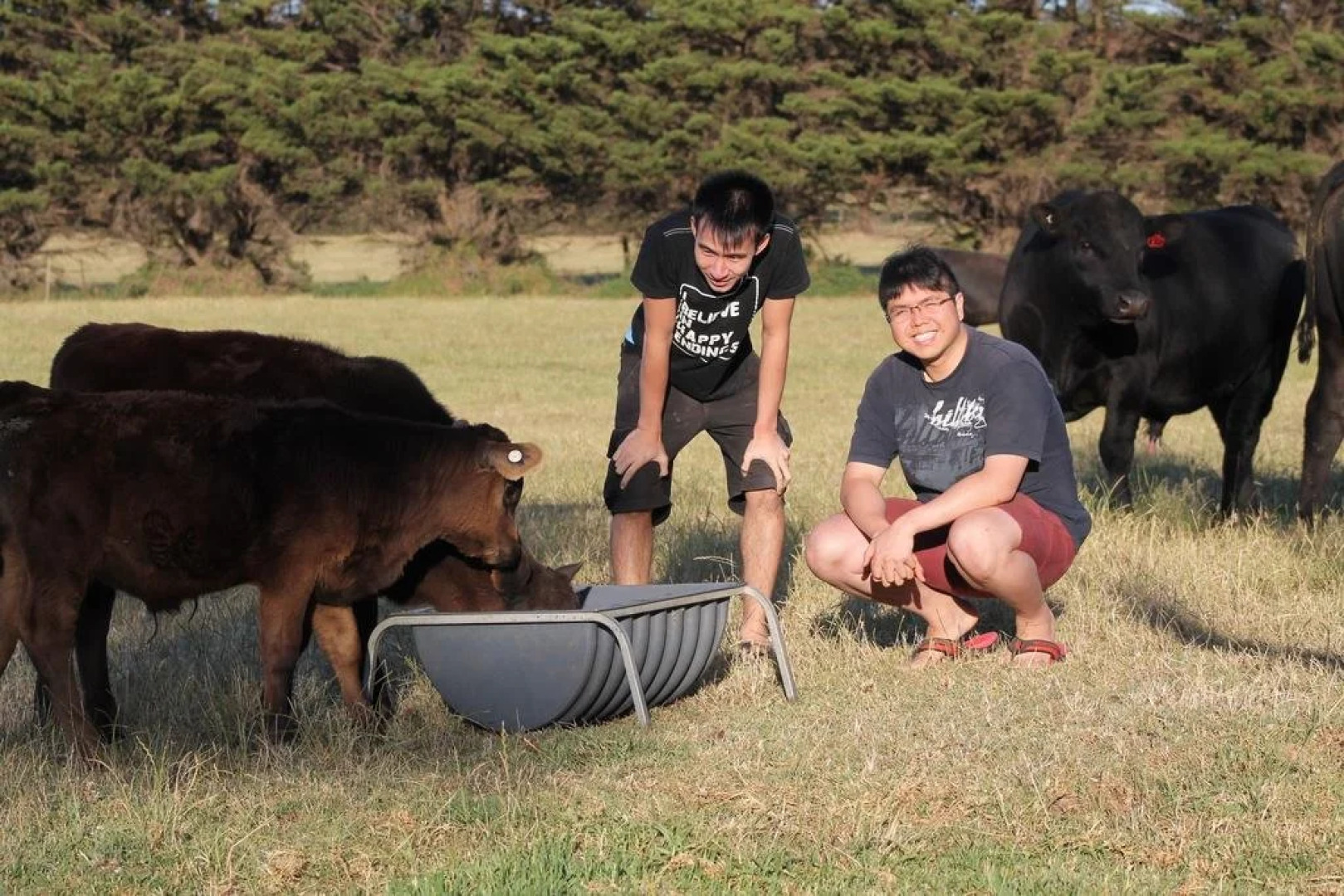 Bimbadeen Phillip Island Farm Retreats