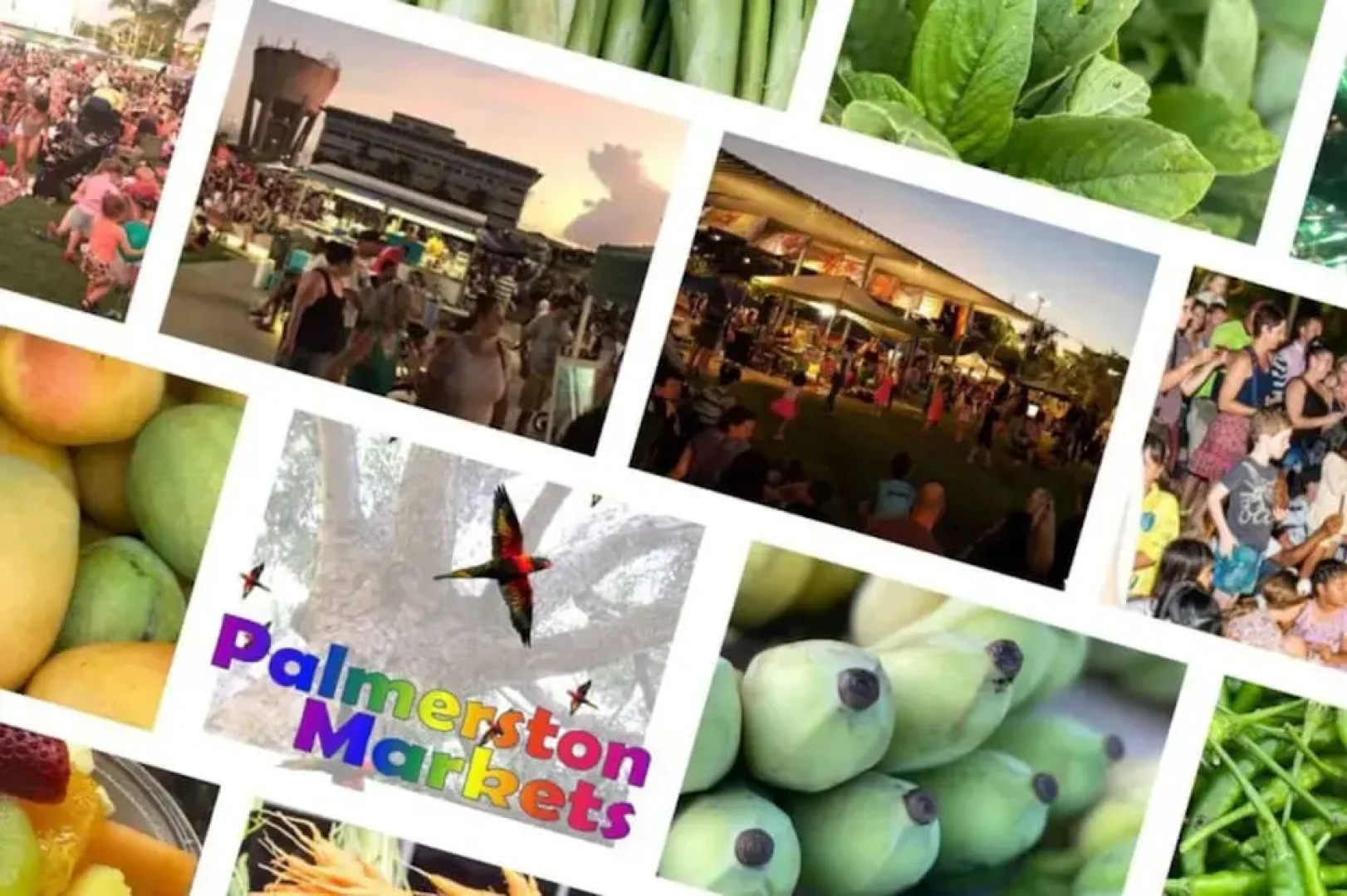 Picturesque Tranquil - Pool - BBQ - Golf Course