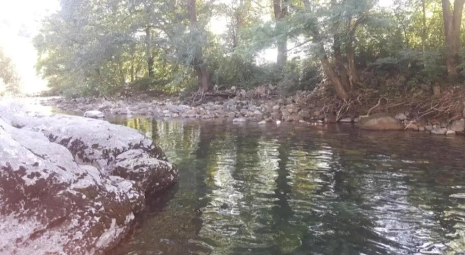Chalet adosado con piscina en plena naturaleza
