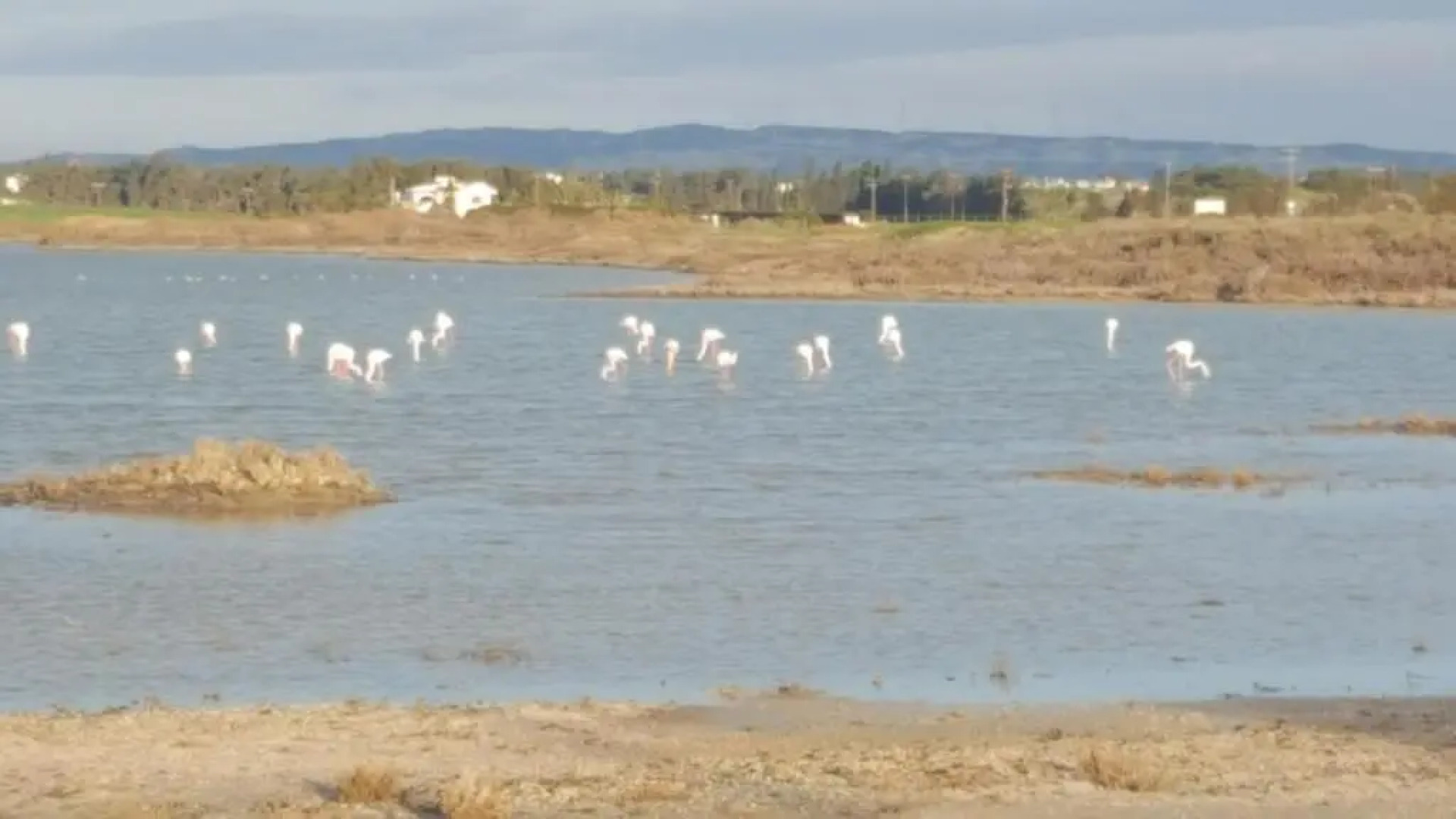 Periyiali Beach Sunset Suite A7