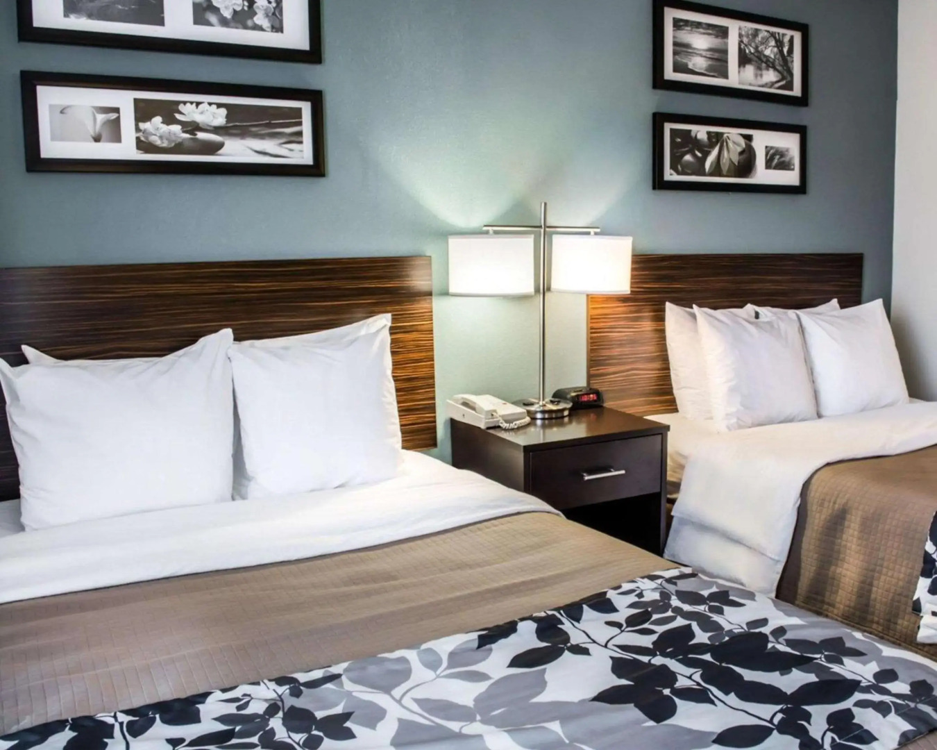 Sleep Inn & Suites Monticello